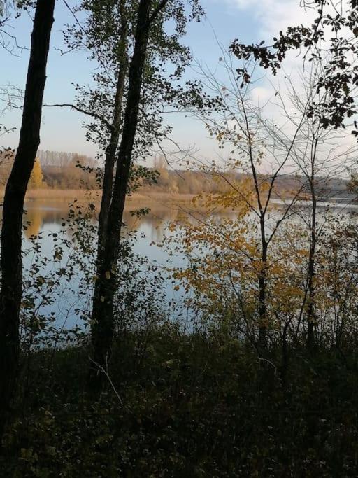 Swietna Chatka Swietne Buitenkant foto